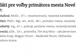 Pohľad na komunálne voľby v meste Nové Zámky.